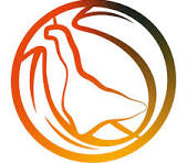 Comité Basket 54